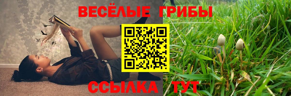 Псилоцибиновые грибы MAGIC MUSHROOMS  Псилоцибиновые грибы мухоморы  Зеленокумск  Вход с VPN 